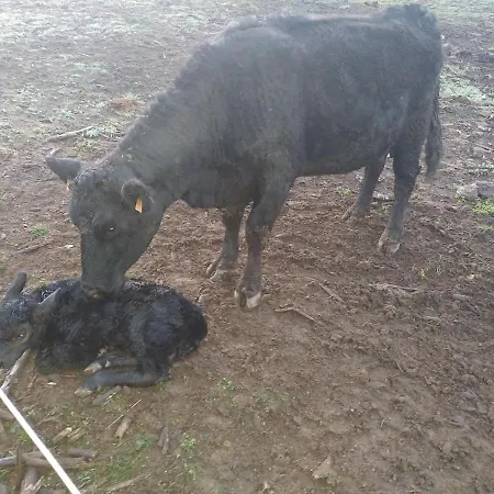 Apartment Les De Combalat Piscine Couverte A Proximite De Peaugres